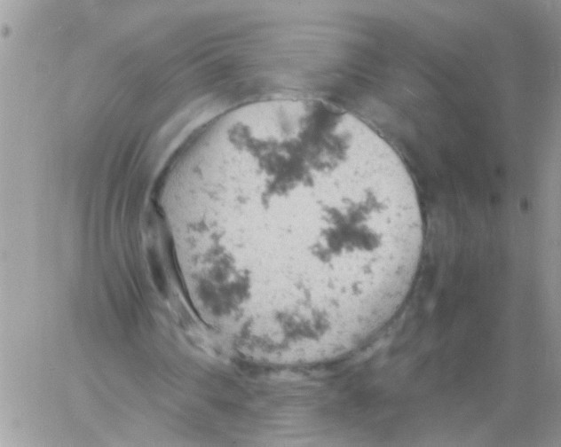 X0000061740290200512302219