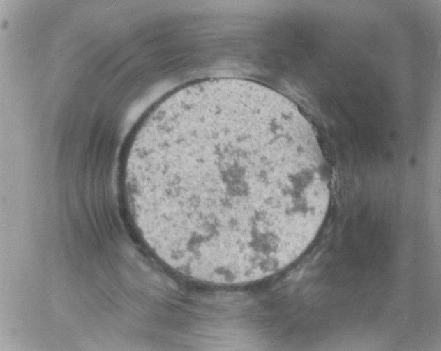 X0000061740292200512302219