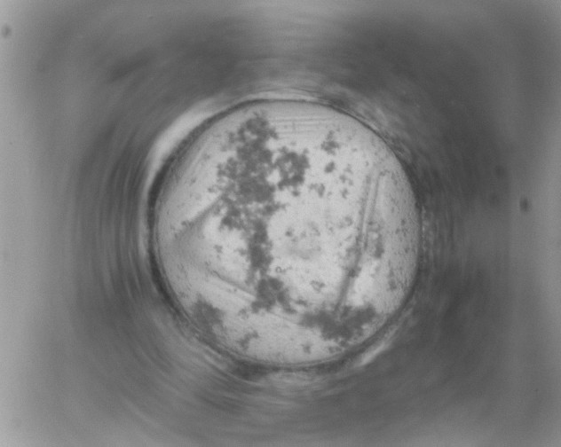 X0000061740294200512302219