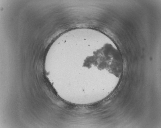 X0000061740297200512302219