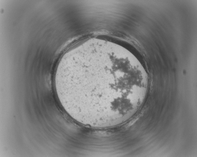 X0000061740298200512302218