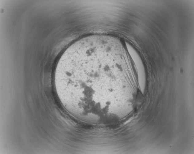 X0000061740299200512302218