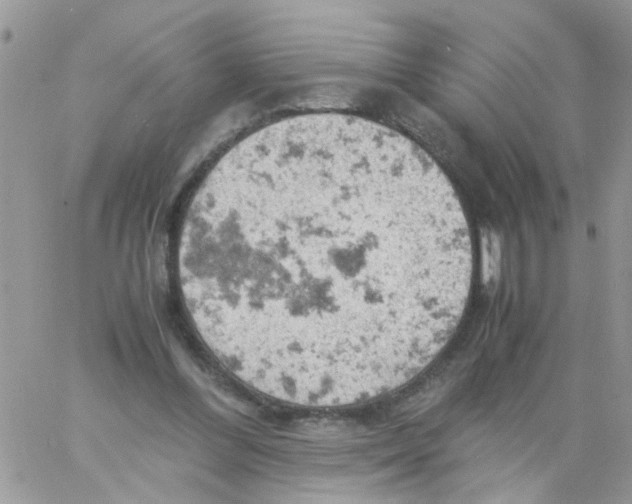 X0000061740300200512302218