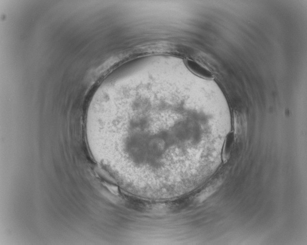 X0000061740301200512302218