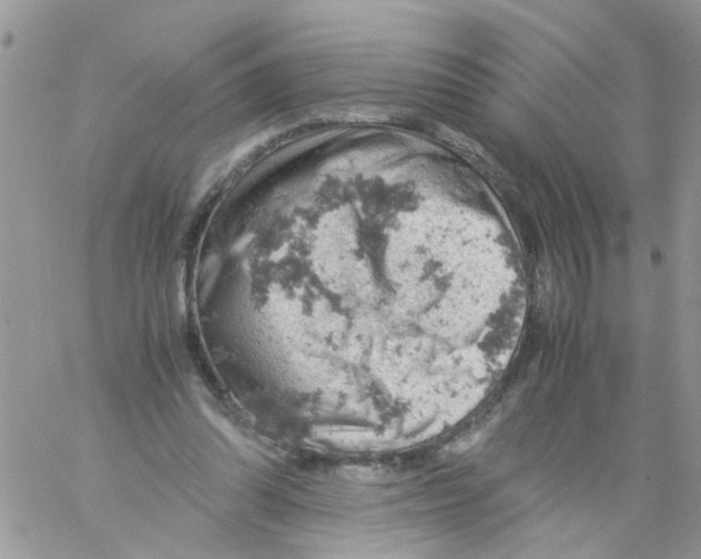 X0000061740302200512302218