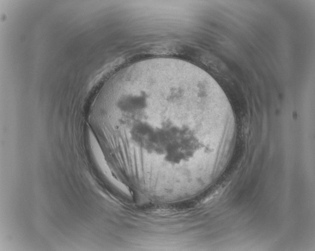 X0000061740303200512302218