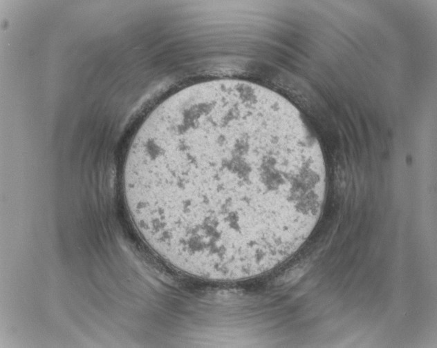 X0000061740304200512302218