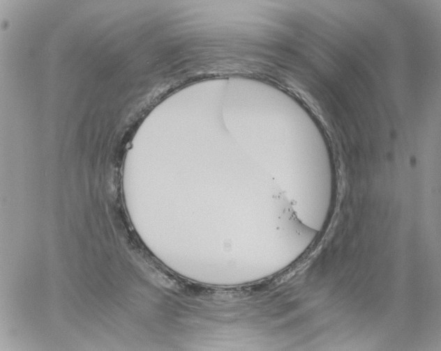 X0000061740305200512302218