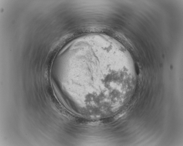 X0000061740306200512302218