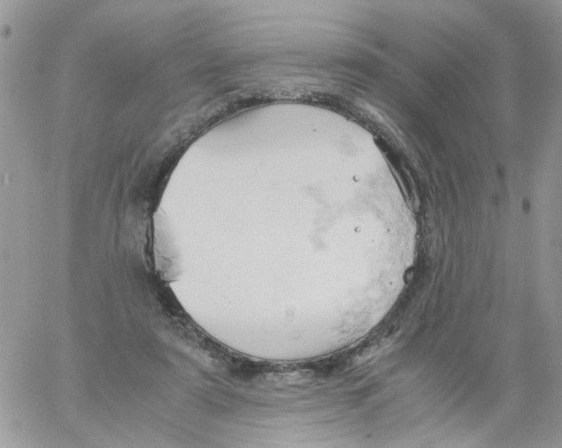 X0000061740307200512302218