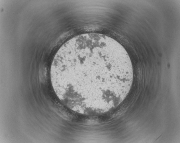 X0000061740308200512302218