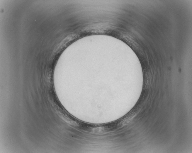 X0000061740309200512302218