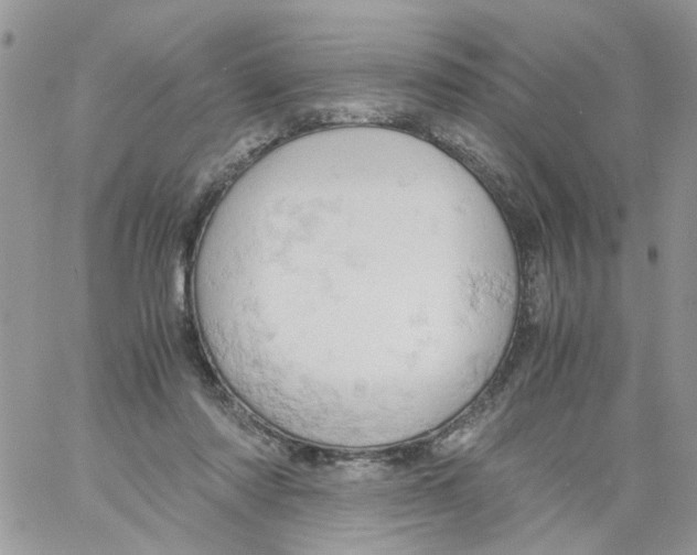 X0000061740310200512302218