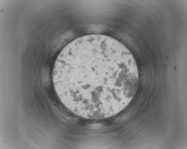 X0000061740312200512302218