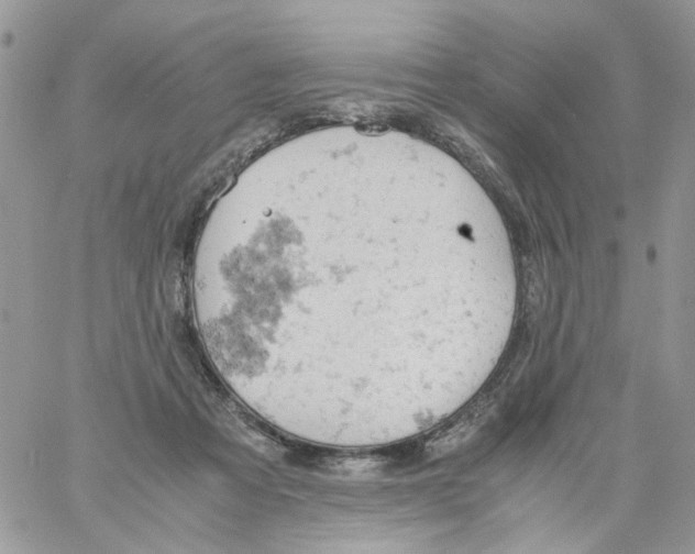 X0000061740313200512302218