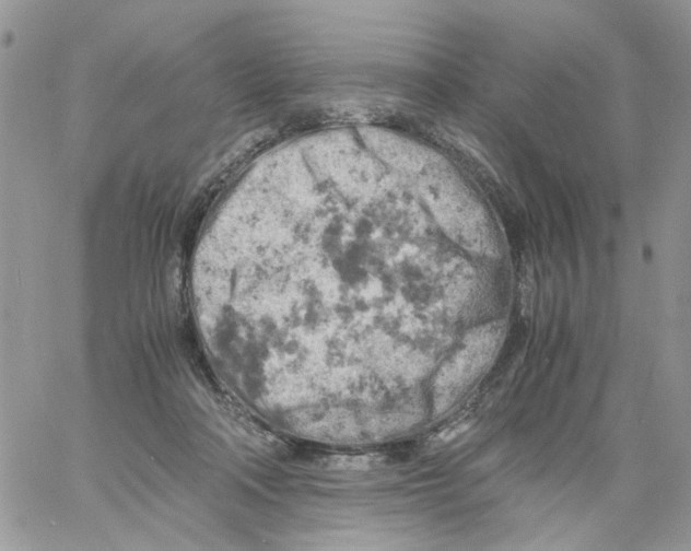 X0000061740314200512302218