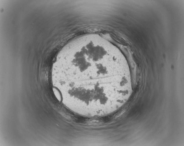 X0000061740315200512302218