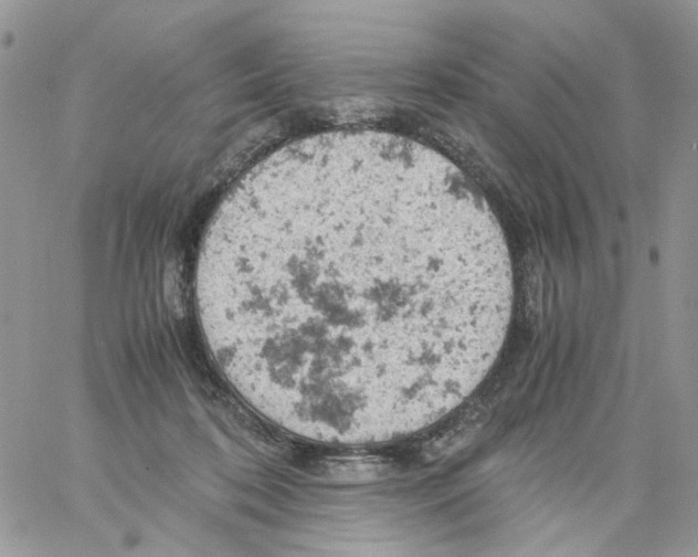 X0000061740316200512302218