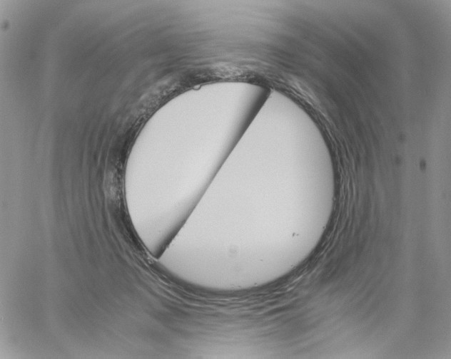 X0000061740317200512302218