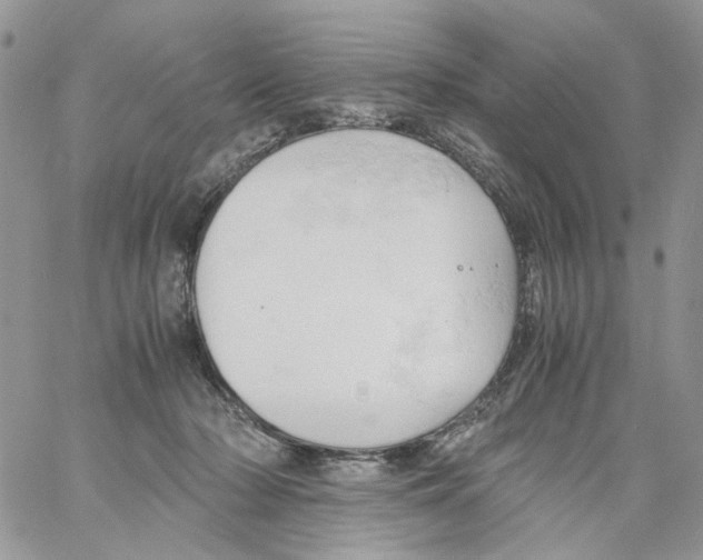 X0000061740318200512302218