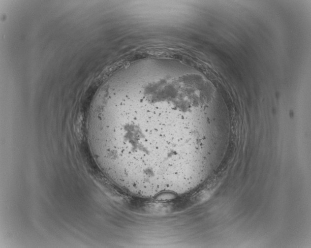 X0000061740319200512302218