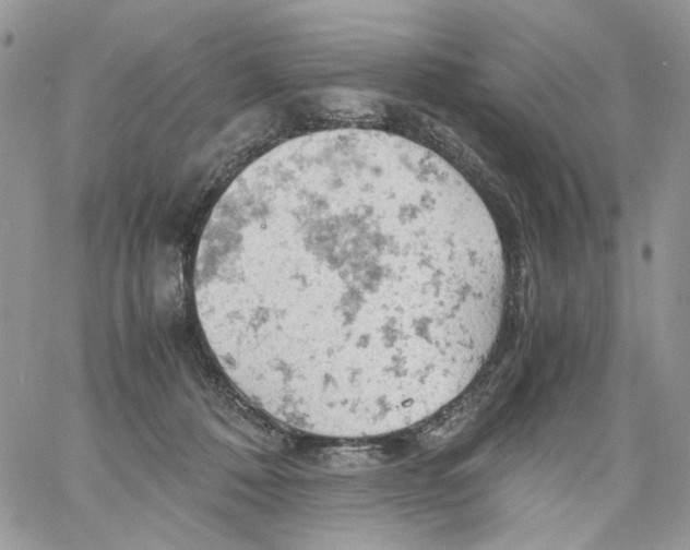 X0000061740320200512302218