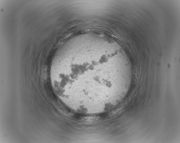 X0000061740323200512302218