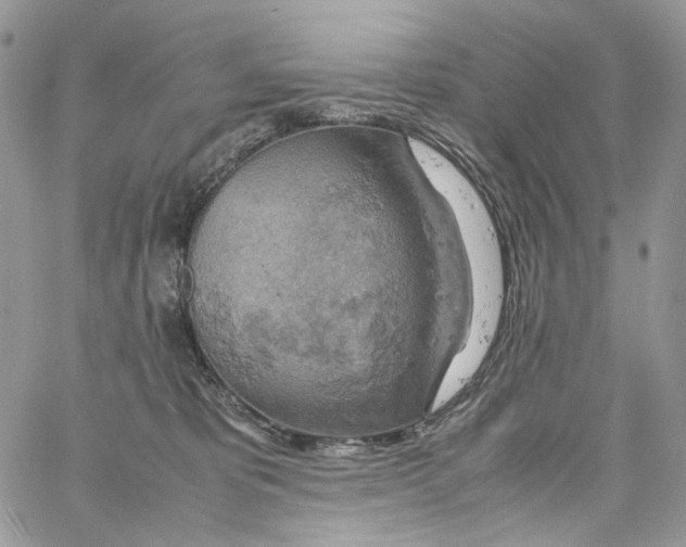 X0000061740325200512302218