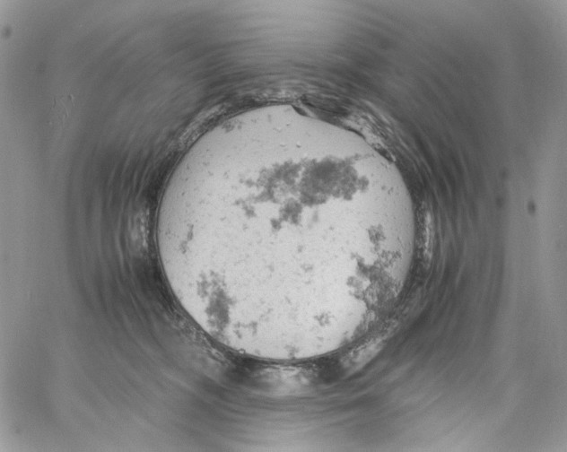 X0000061740326200512302218