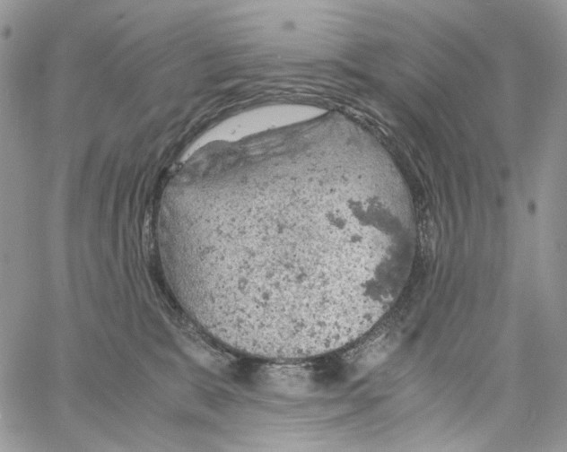 X0000061740327200512302218