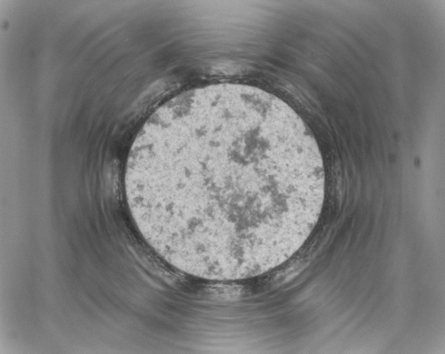 X0000061740328200512302218