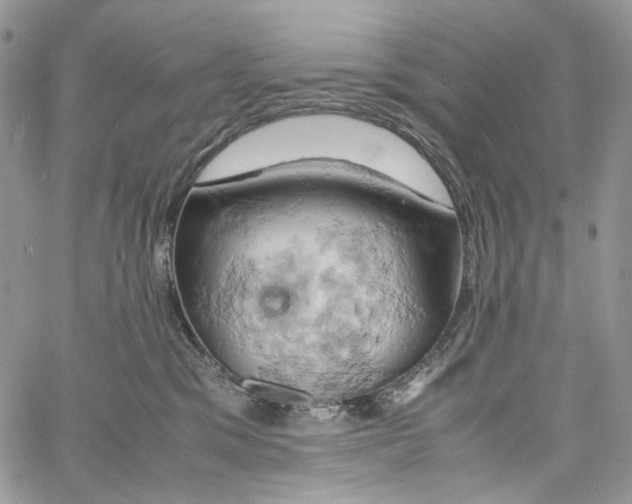 X0000061740329200512302218