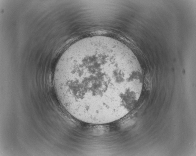 X0000061740330200512302218