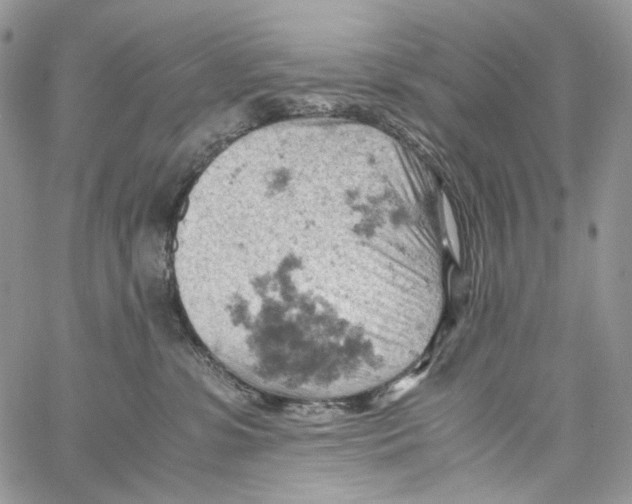 X0000061740331200512302218