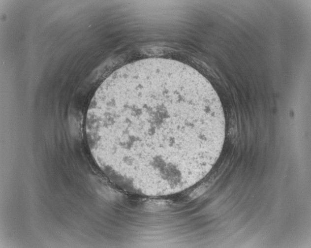 X0000061740332200512302218