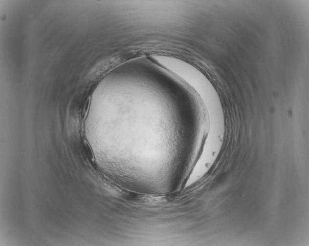 X0000061740333200512302218