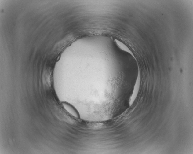 X0000061740334200512302218