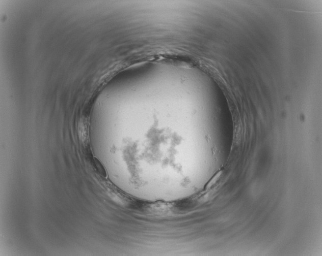 X0000061740335200512302218