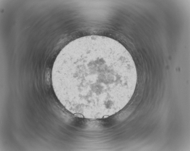 X0000061740336200512302218