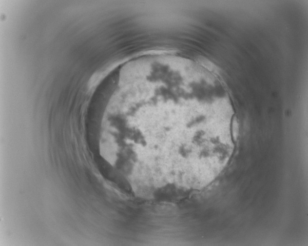 X0000061740337200512302217