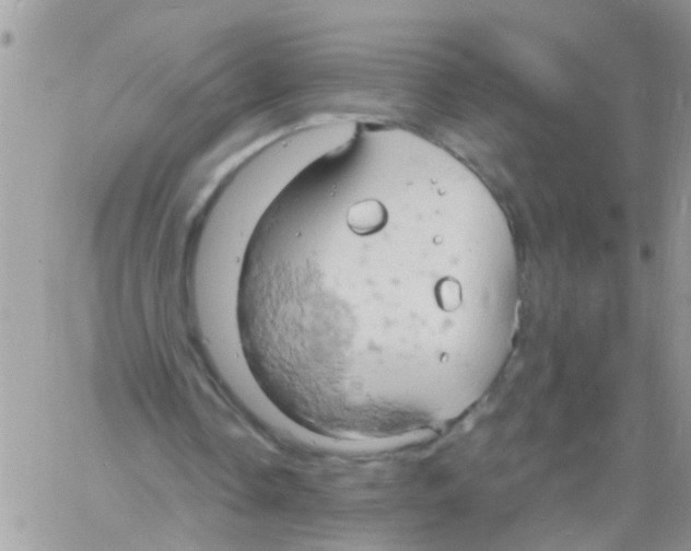 X0000061740338200512302217