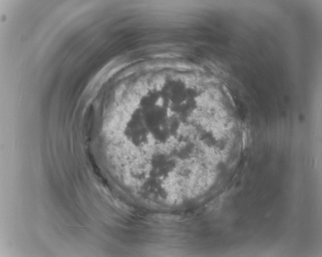 X0000061740339200512302217