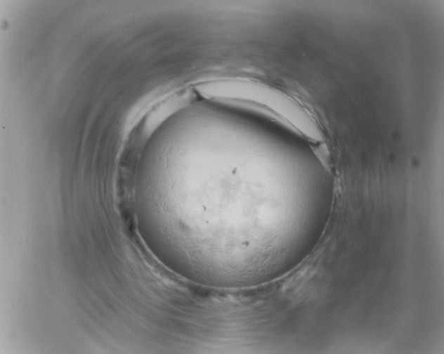 X0000061740340200512302217