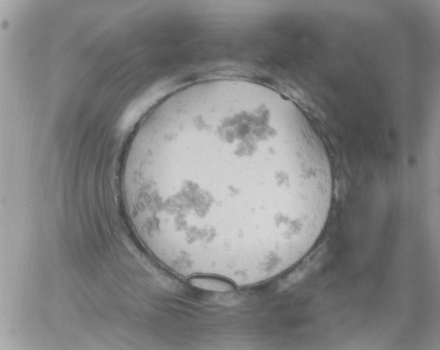 X0000061740341200512302217