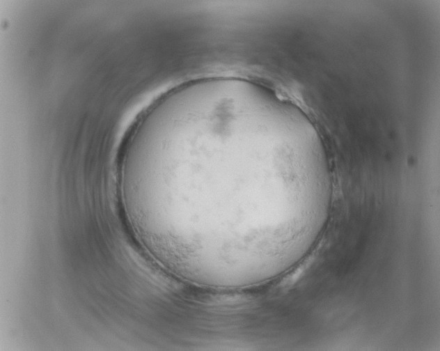 X0000061740342200512302217