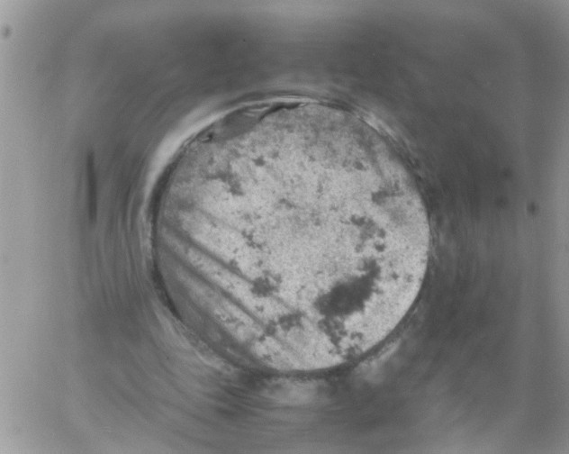 X0000061740343200512302217