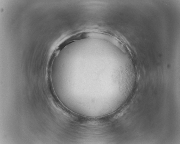 X0000061740344200512302217