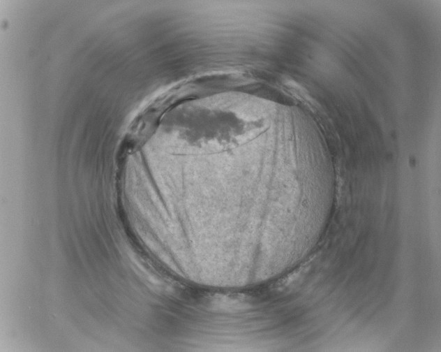 X0000061740346200512302217