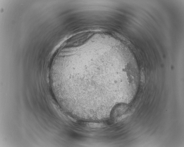 X0000061740347200512302217