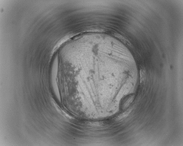 X0000061740349200512302217